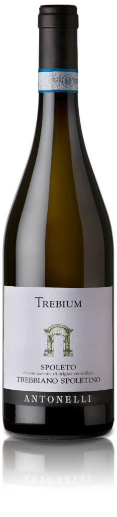 Vino Trebbiano