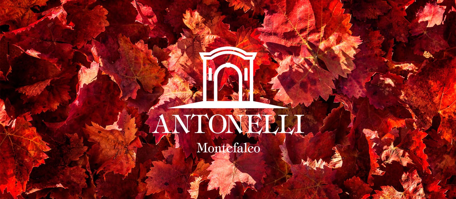 Azienda Antonelli Montefalco