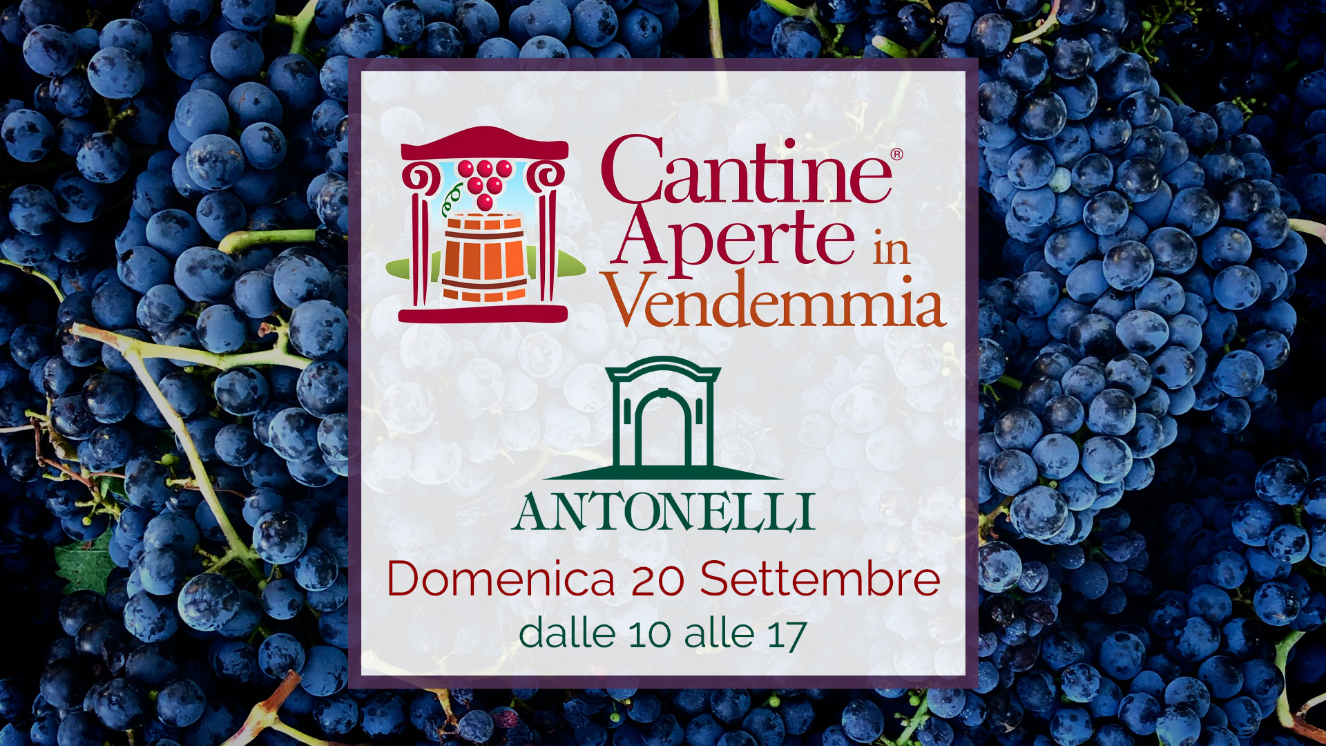 Cantine Aperte in Vendemmia